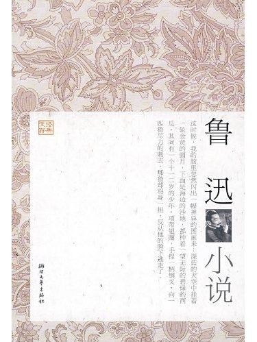 魯迅小說(2009年浙江文藝出版社出版的圖書) 魯迅小說(2009年浙江文藝出版社出版的圖書)