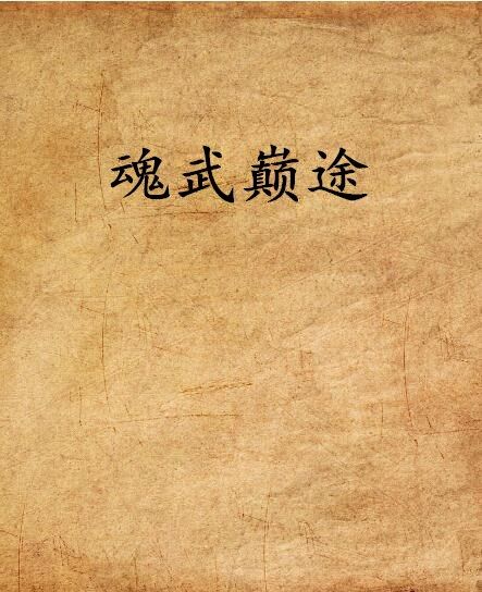 魂武巔途 魂武巔途