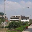華村 華村