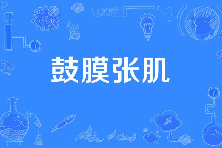 鼓膜張肌 鼓膜張肌