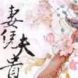 妻憑夫貴 妻憑夫貴