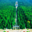 中山陵(中山陵陵寢) 中山陵(中山陵陵寢)