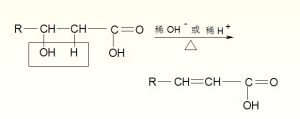 分子內脫水生成α，β-不飽和酸