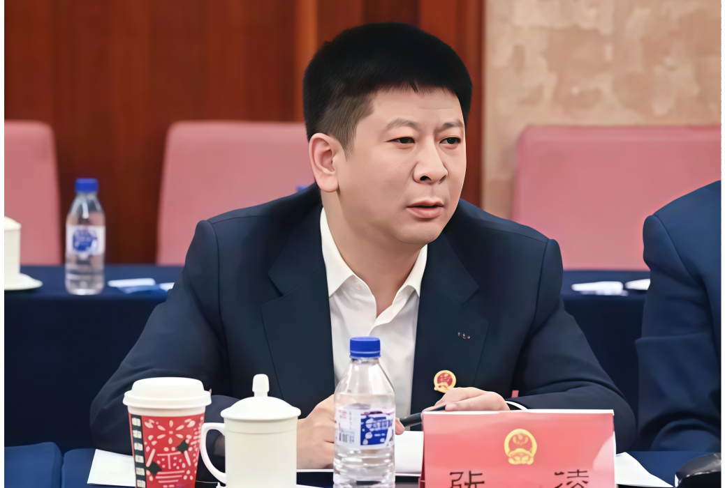 張凌(凌遠科技股份有限公司董事長) 張凌(凌遠科技股份有限公司董事長)