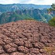 千龜山 千龜山