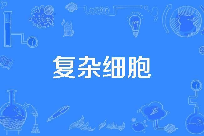 複雜細胞 複雜細胞