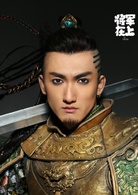 將軍在上(2017年馬思純、盛一倫主演的電視劇)