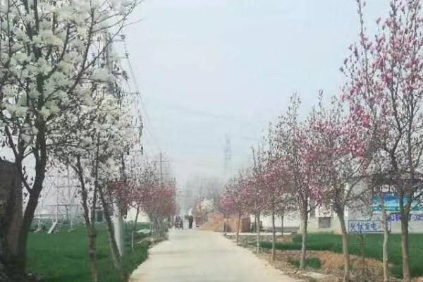 溝楊 溝楊