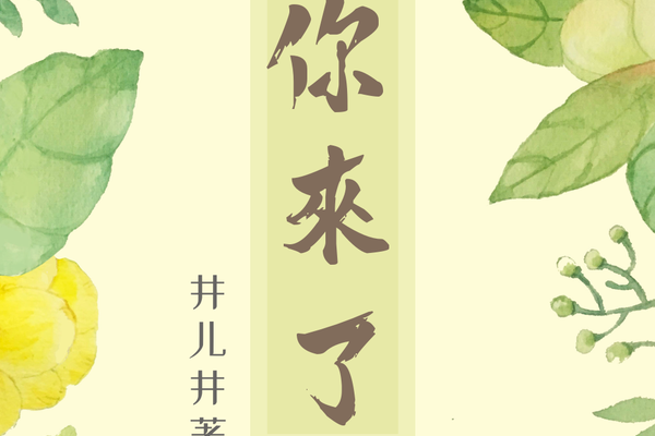 你來了(豆瓣閱讀作者井兒井所作言情小說) 你來了(豆瓣閱讀作者井兒井所作言情小說)