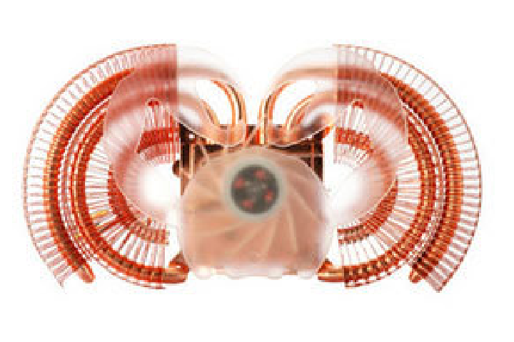AVC 巨蟹座 AVC 巨蟹座