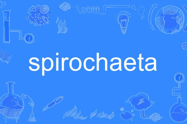 spirochaeta