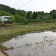 冬水田(一種稻田) 冬水田(一種稻田)