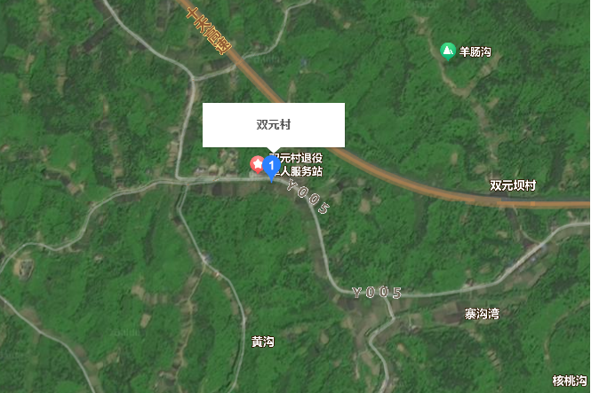 雙元村(陝西省漢中市城固縣天明鎮下轄村) 雙元村(陝西省漢中市城固縣天明鎮下轄村)
