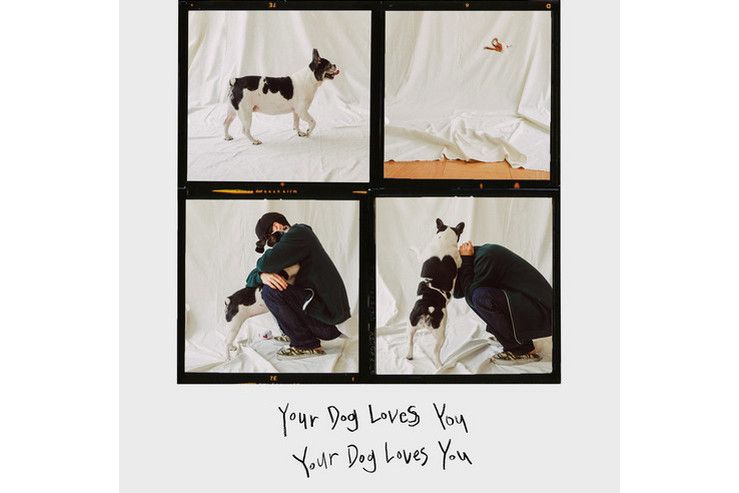 Your Dog Loves You Your Dog Loves You