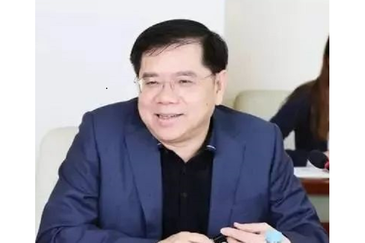 何志平(晶澳科技副董事長、董事) 何志平(晶澳科技副董事長、董事)