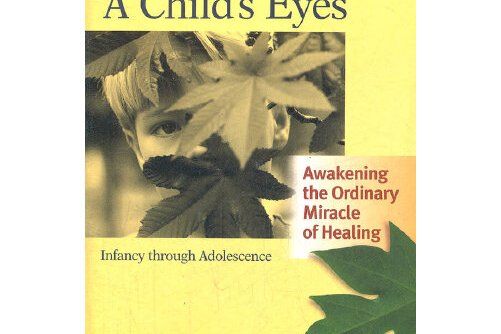 trauma through a childs eyes trauma through a childs eyes