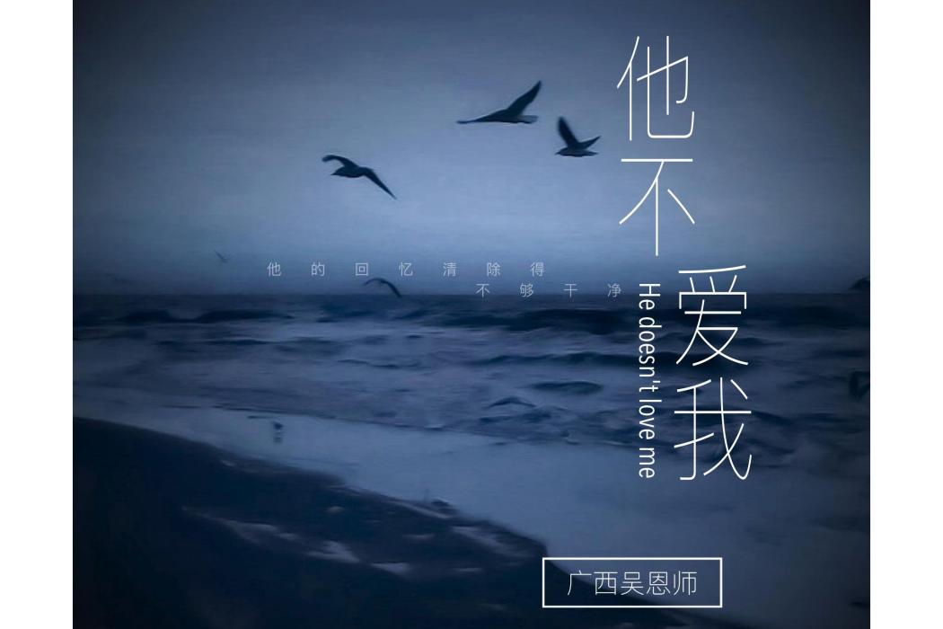 他不愛我(吳恩師演唱歌曲) 他不愛我(吳恩師演唱歌曲)