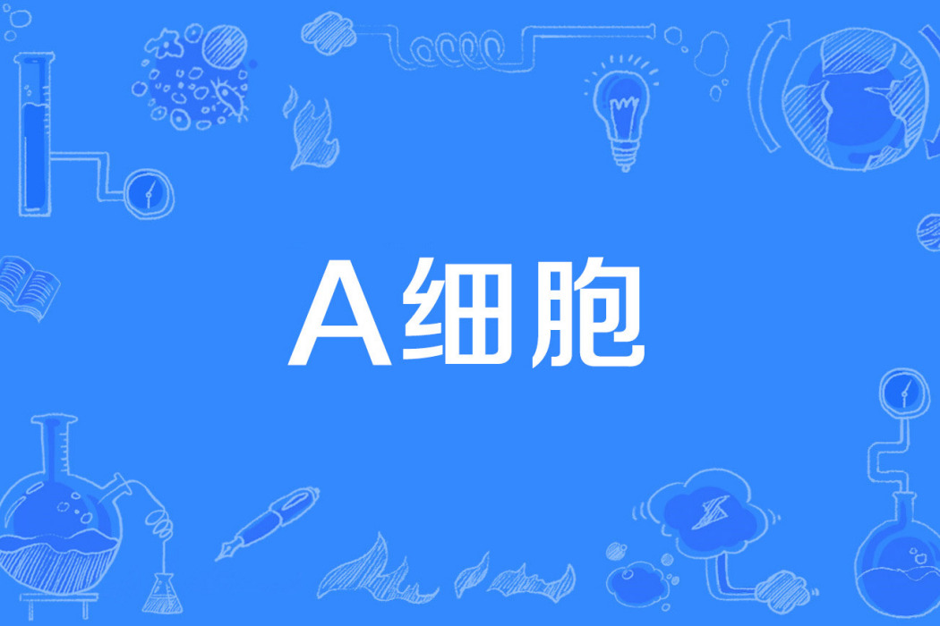 A細胞 A細胞