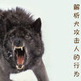 烈性犬 烈性犬