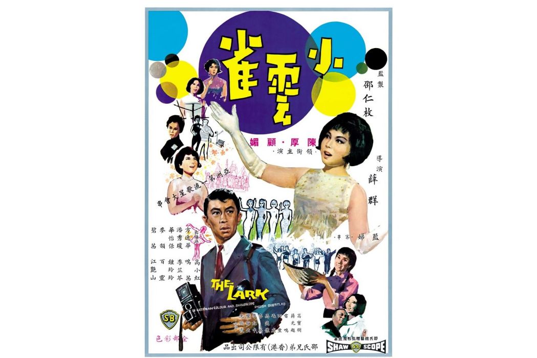 小雲雀(1965年薛群執導的電影)