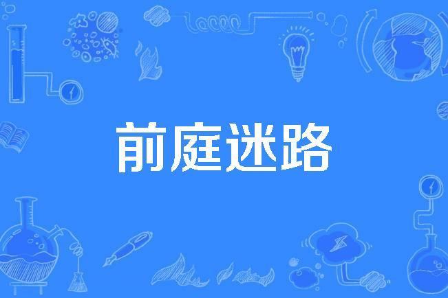 前庭迷路 前庭迷路
