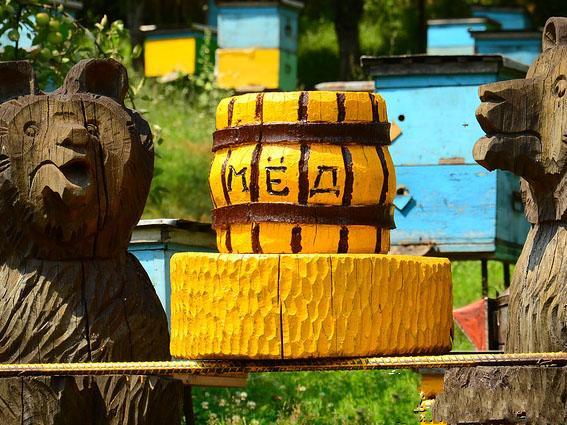 “兩隻小熊”采蜂房
