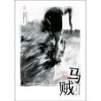 馬賊(漢語詞語) 馬賊(漢語詞語)
