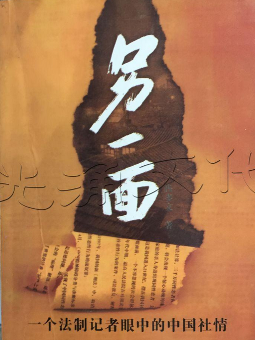 另一面(2007年當代中國出版社出版的圖書) 另一面(2007年當代中國出版社出版的圖書)