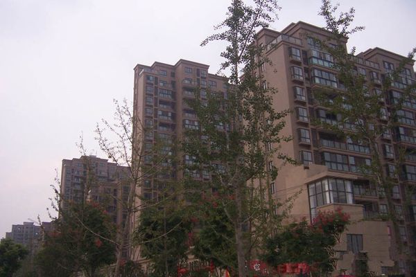 金龍湖畔 金龍湖畔