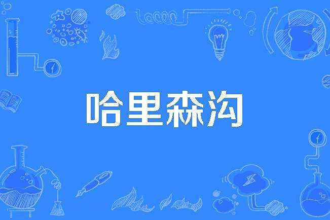 哈里森溝