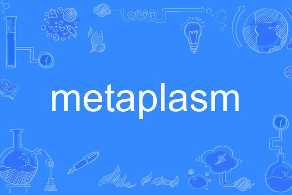 metaplasm metaplasm