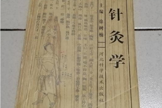 針灸學(河北科學技術出版社出版的圖書) 針灸學(河北科學技術出版社出版的圖書)