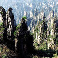 八大公山鄉 八大公山鄉