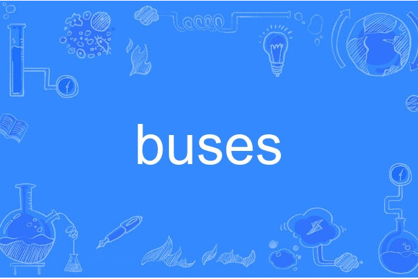 buses buses
