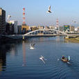 沼津市 沼津市