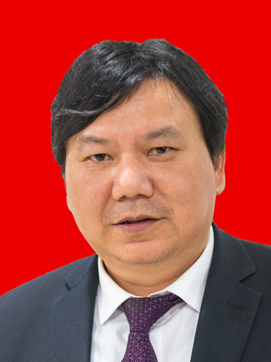 向衛平 向衛平