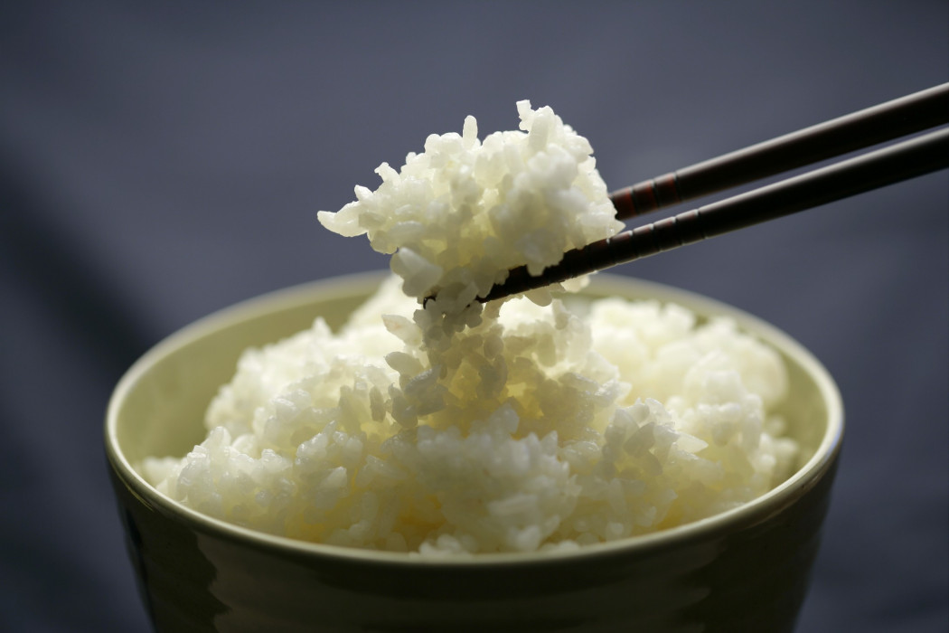 羊奶大米飯