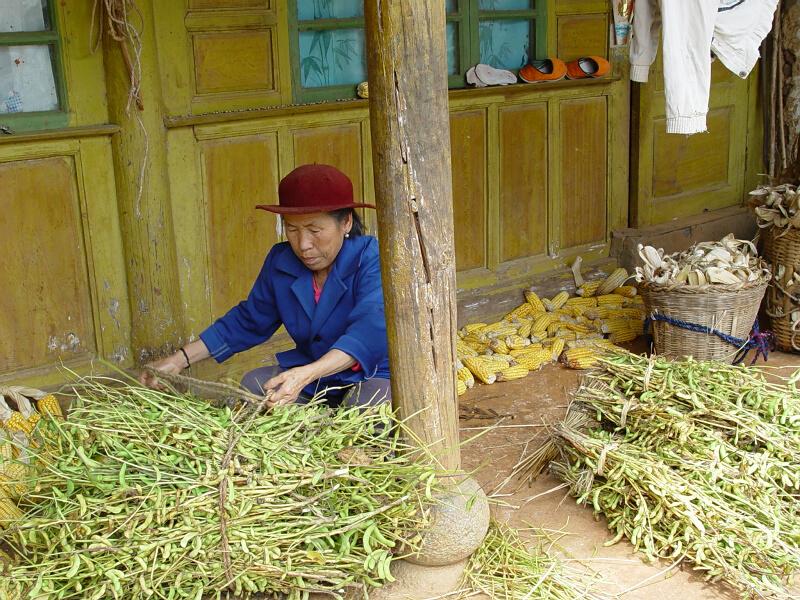 吳山村黃豆產業