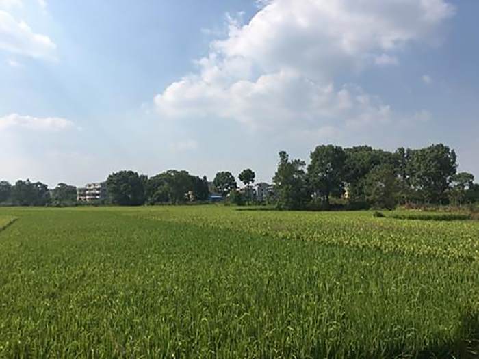 爐下村 爐下村
