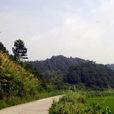 浩山鄉 浩山鄉
