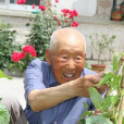 張雲師 張雲師