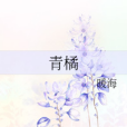 青橘 青橘