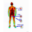 人體運毒 人體運毒