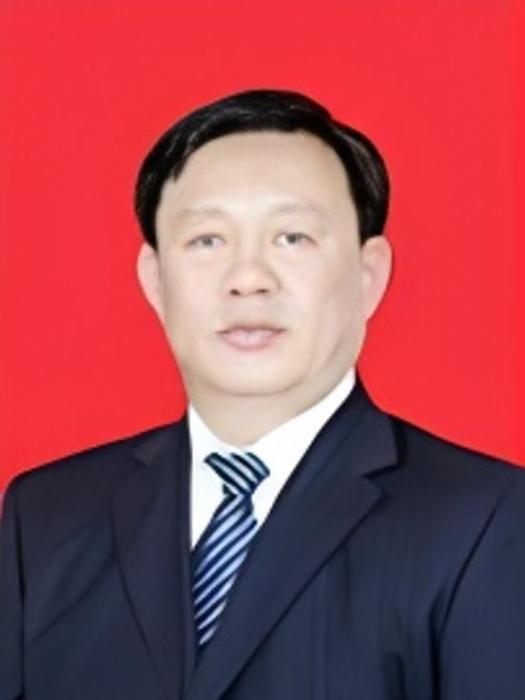 譚衛平(新疆維吾爾自治區阿勒泰地區青河縣委原書記) 譚衛平(新疆維吾爾自治區阿勒泰地區青河縣委原書記)