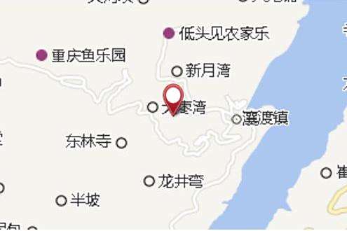 雙雞大隊 雙雞大隊