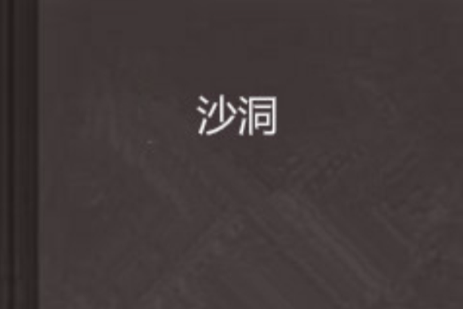 沙洞 沙洞