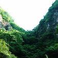 天地根 天地根