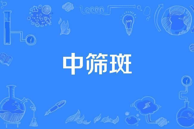 中篩斑 中篩斑