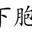 下胞 下胞