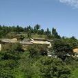 石梯村(雲南省昆明市宜良縣北古城鎮下轄村) 石梯村(雲南省昆明市宜良縣北古城鎮下轄村)